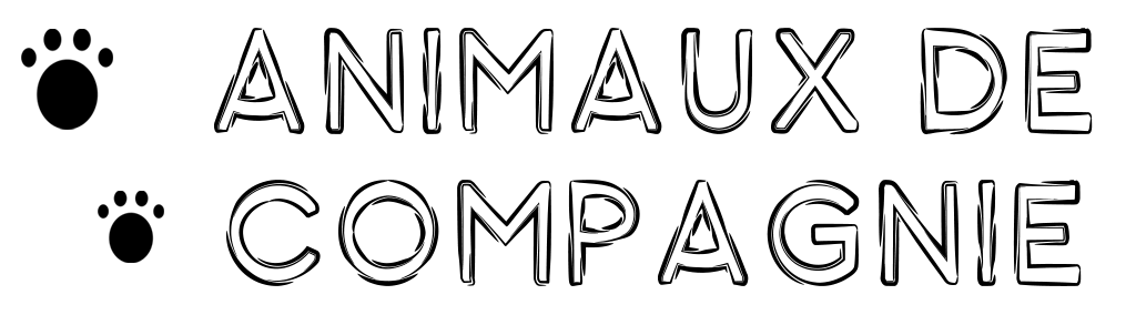 e animaux de compagnie